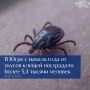 В Югре подвели промежуточные итоги клещевого сезона