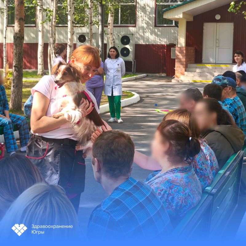 Не только лечение, но и теплый контакт: в Нижневартовской ПНБ провели занятие с собаками