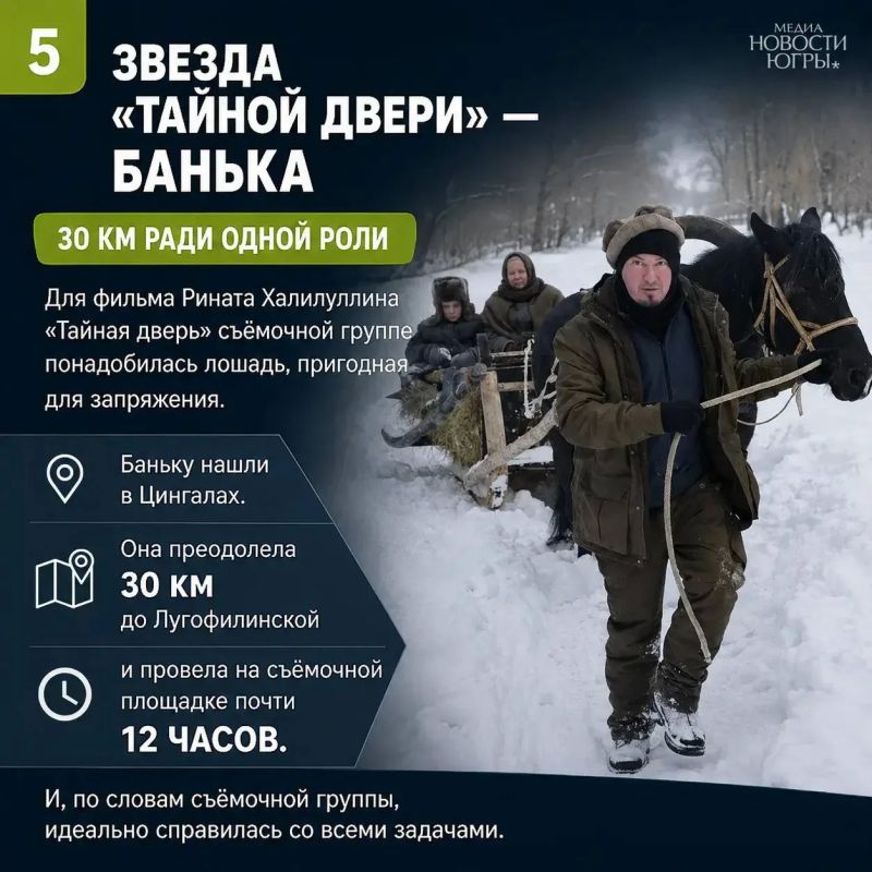 Что связывает Ханты-Мансийский район и кинематограф? Оказывается, очень многое! Что связывает Ханты-Мансийский район и кинематограф? Оказывается, очень многое!