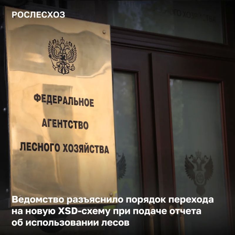С 1 сентября 2026 года вступает в силу закон, регулирующий создание и эксплуатацию лесных дорог