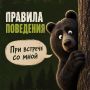 Впереди выходные и вы уже собрались за грибами? Полезные карточки от Природнадзора – про милых, но не плюшевых мишек, которых можно встретить в наших лесах