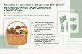 Как собирать дикоросы безопасно, где искать экологически чистые места и что делать с урожаем дома – рассказываем в карточках