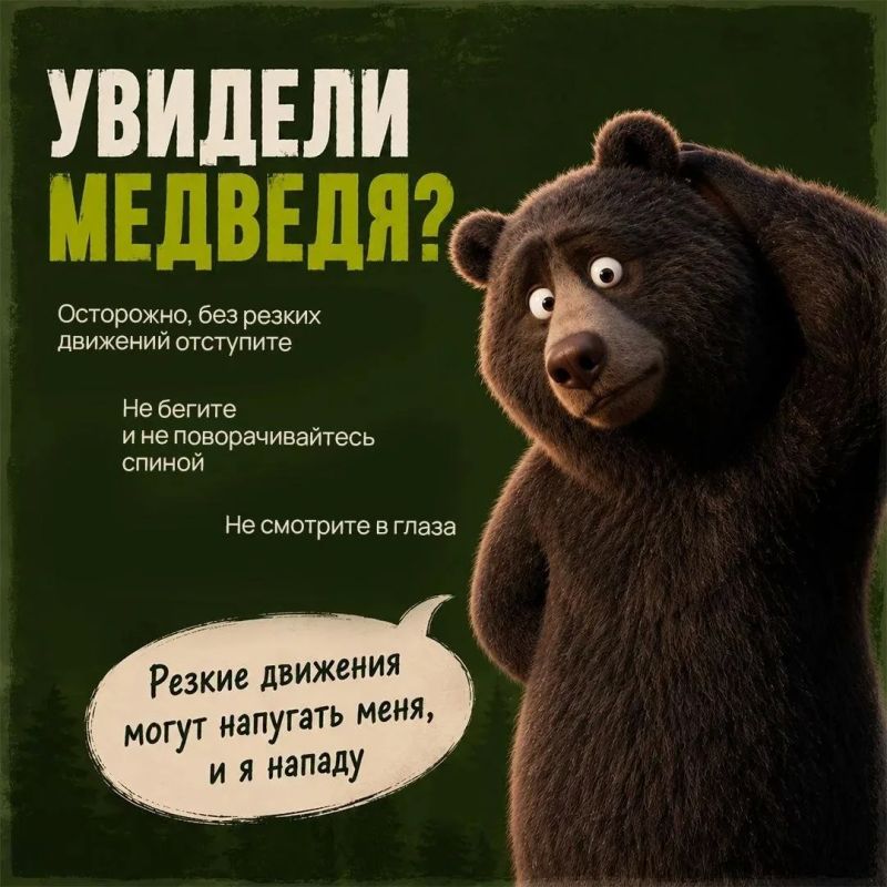 Настоящие мишки далеко не плюшевые Настоящие мишки далеко не плюшевые