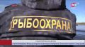 В Югре охотятся на браконьеров