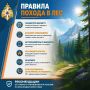 Собираешься в поход?. МЧС России напоминает, как сделать маршрут безопасным и не испортить отдых неприятными сюрпризами