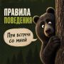 Настали выходные — уже собираетесь за грибами?