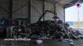 Вырастить ягоды и овощи на свалке? Легко! После сортировки мусора на полигон попадает минимум пластика, полиэтилена и прочего долго разлагаемого хлама