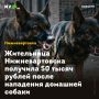 Жительница Нижневартовска получила 50 тысяч рублей после нападения домашней собаки