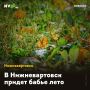В Нижневартовск придет бабье лето
