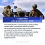 Вторая часть законов, вступивших в силу в сентябре, в карточках Государственной Думы