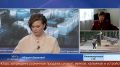 Экзотические инфекции в Югре сегодня стали нормой