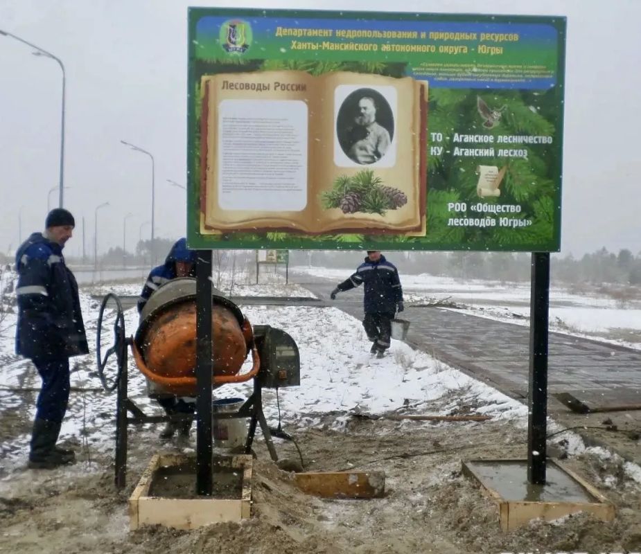 Лиственничная аллея в Радужном – пример эффективного партнерства лесоводов и нефтяников Югры Лиственничная аллея в Радужном – пример эффективного партнерства лесоводов и нефтяников Югры