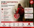 Если заблудились в лесу: инструкция по выживанию для югорчан