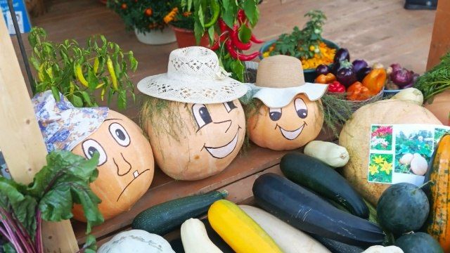 Карнавал красок и вкуса. Парад овощей, ягод и фруктов, фермерской продукции в широком ассортименте, цветочные инсталляции и панно, мастер-классы: в последнюю субботу августа на территории «Старого Сургута» заиграл всеми... Карнавал красок и вкуса. Парад овощей, ягод и фруктов, фермерской продукции в широком ассортименте, цветочные инсталляции и панно, мастер-классы: в последнюю субботу августа на территории «Старого Сургута» заиграл всеми...