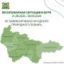 В лесах Югры нет пожаров. За прошедшую неделю – с 31 августа по 6 сентября, в регионе не было зафиксировано ни одного природного пожара