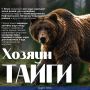 История с медведем у дома в Усть-Илимске — далеко не единичный случай