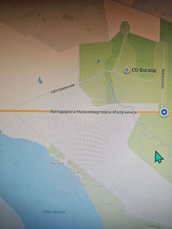 Медведь пришел на дачу к вартовчанам Медведь пришел на дачу к вартовчанам