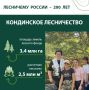 Управлять лесом как единым живым организмом – задача № 1