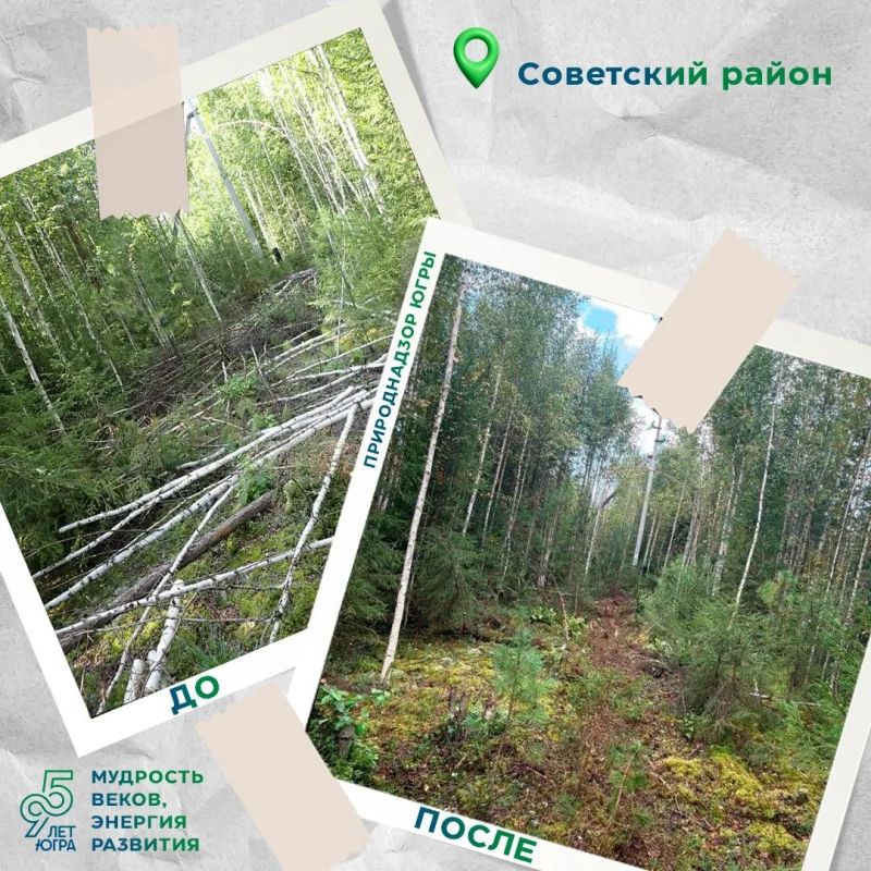 В июле 2026 года инспекторы Советского отдела Природнадзора Югры выявили нарушение в Картопском и Самзасском лесничествах В июле 2026 года инспекторы Советского отдела Природнадзора Югры выявили нарушение в Картопском и Самзасском лесничествах