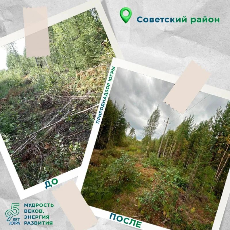 В июле 2026 года инспекторы Советского отдела Природнадзора Югры выявили нарушение в Картопском и Самзасском лесничествах В июле 2026 года инспекторы Советского отдела Природнадзора Югры выявили нарушение в Картопском и Самзасском лесничествах