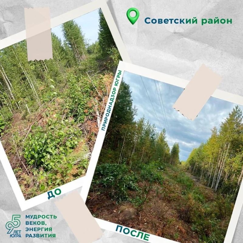 В июле 2026 года инспекторы Советского отдела Природнадзора Югры выявили нарушение в Картопском и Самзасском лесничествах В июле 2026 года инспекторы Советского отдела Природнадзора Югры выявили нарушение в Картопском и Самзасском лесничествах