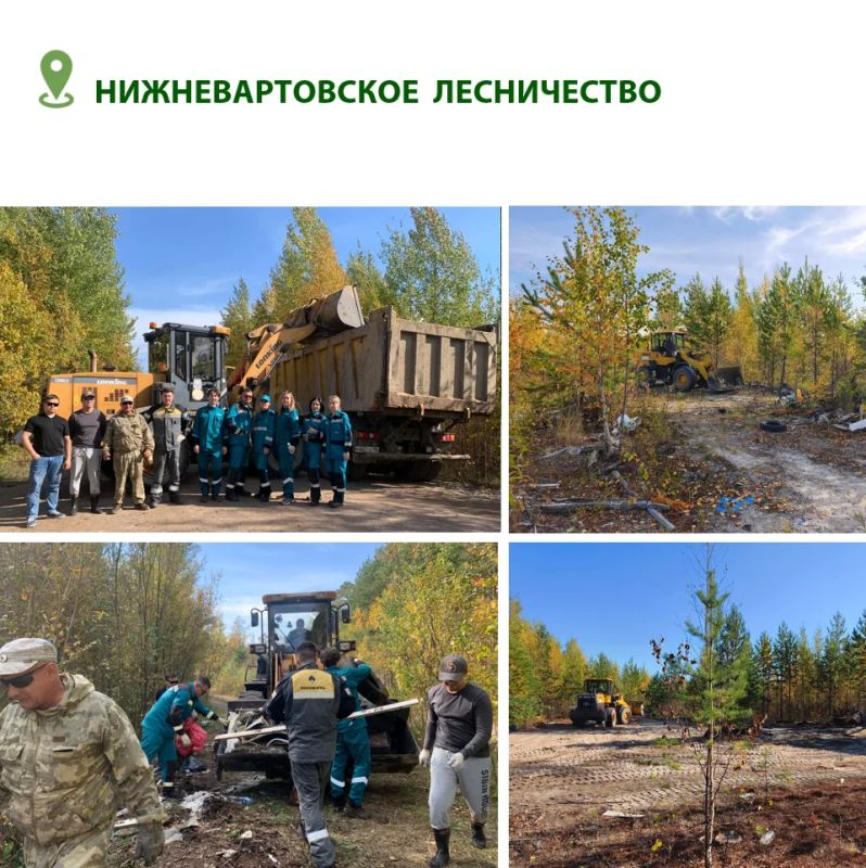 Чистый лес начинается с каждого из нас: в лесничествах Югры продолжается акция «Чистый лес» Чистый лес начинается с каждого из нас: в лесничествах Югры продолжается акция «Чистый лес»