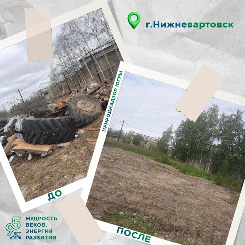 Санитарная очистка территории города Нижневартовска от отходов Санитарная очистка территории города Нижневартовска от отходов
