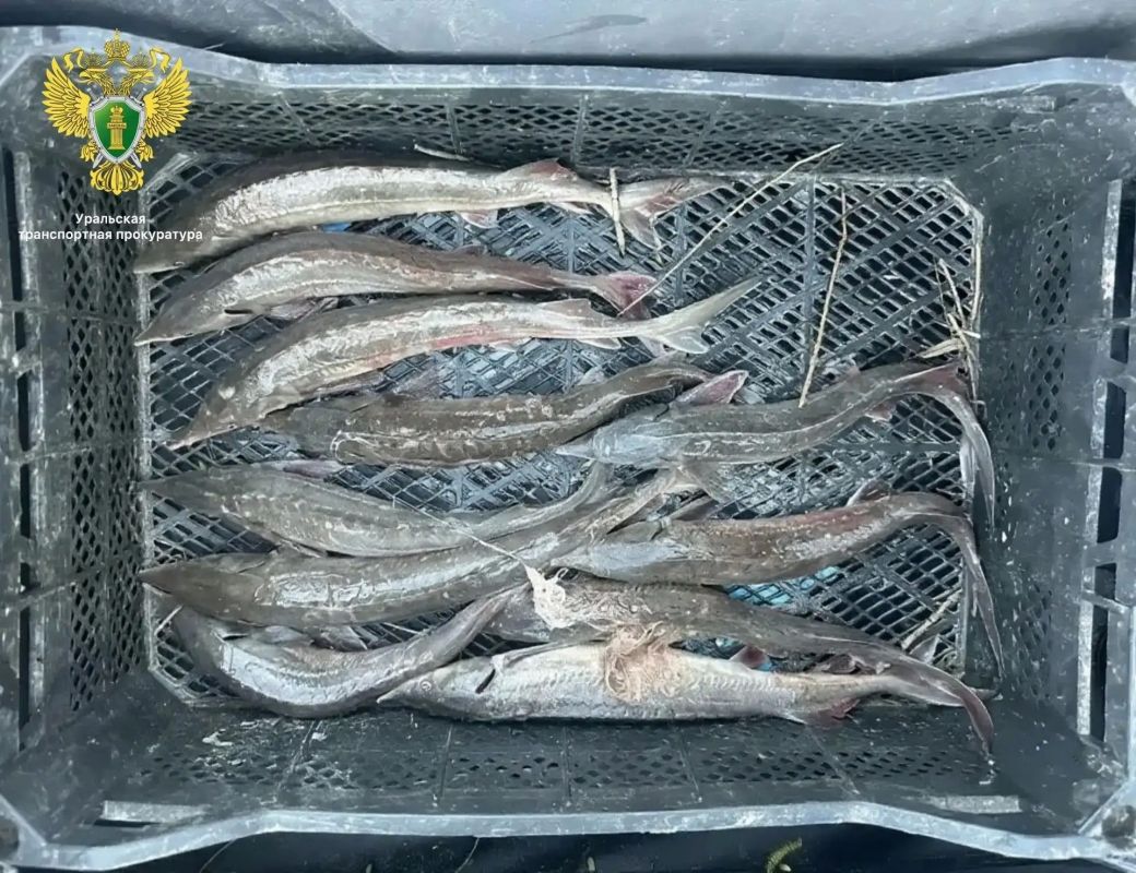 300 часов обязательных работ получил рыбак из Нижневартовска 300 часов обязательных работ получил рыбак из Нижневартовска