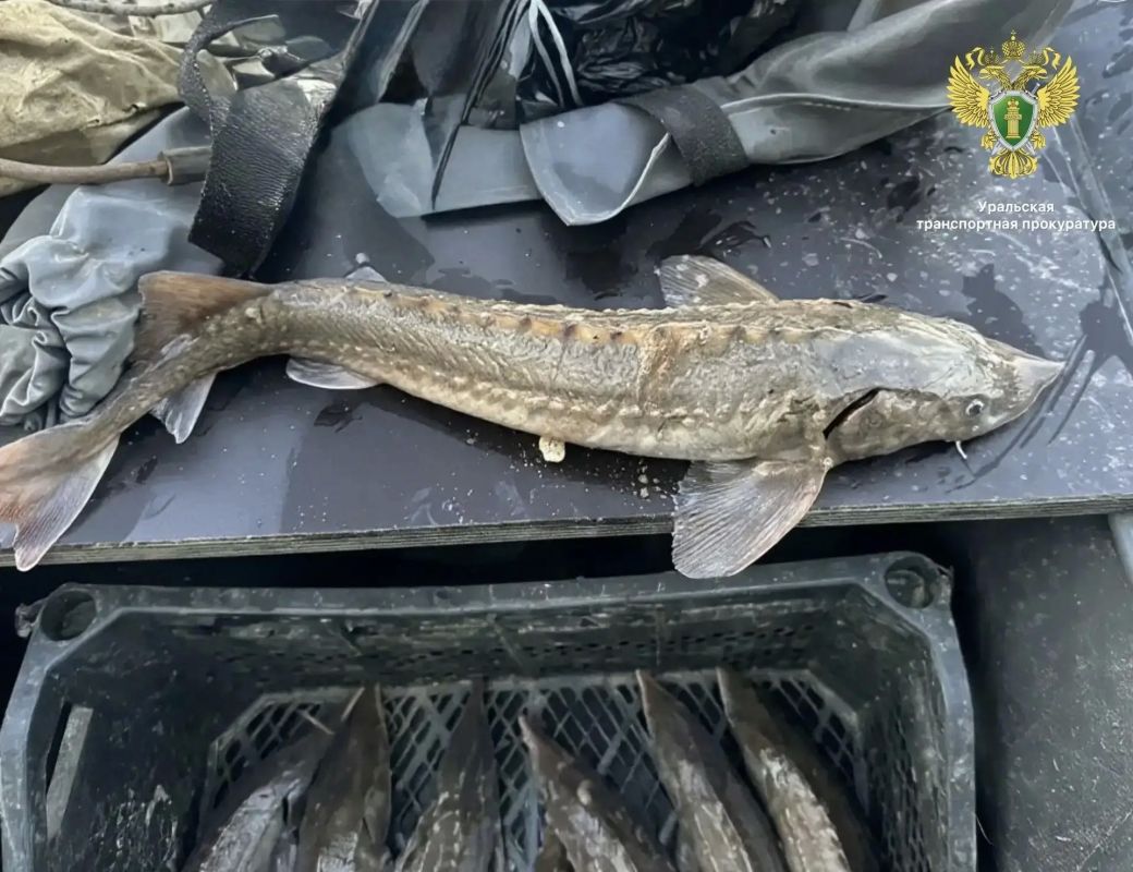 300 часов обязательных работ получил рыбак из Нижневартовска
