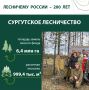 Хозяин тайги: 24 года службы лесничего Евгения Шабанова в Сургутском районе