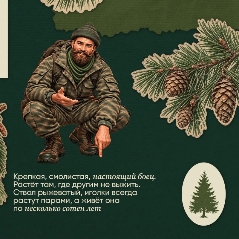 Проверьте свои знания о лесе – викторина от лесника Ивана Проверьте свои знания о лесе – викторина от лесника Ивана