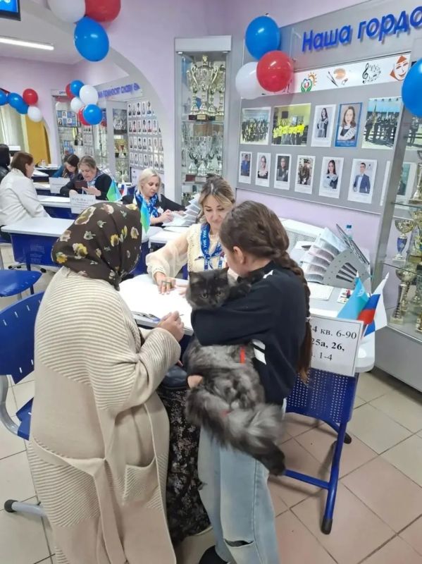 На выборы — всей семьёй!. На одном из избирательных участков Пыть-Яха сегодня заметили необычного участника — домашнего кота