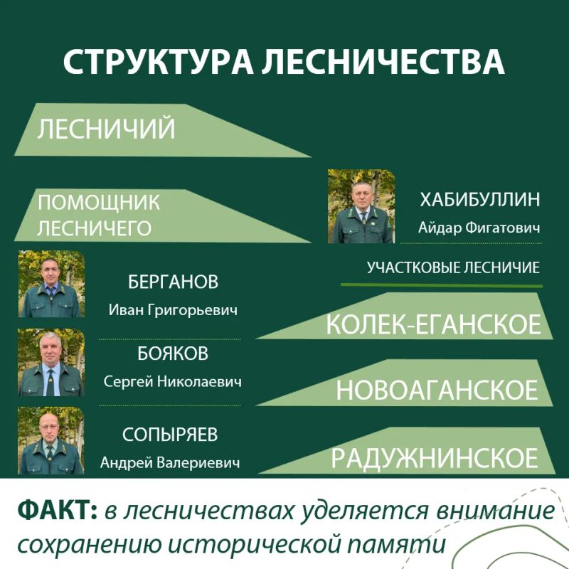 Посадить дерево, вырастить лес, оставить наследие Посадить дерево, вырастить лес, оставить наследие