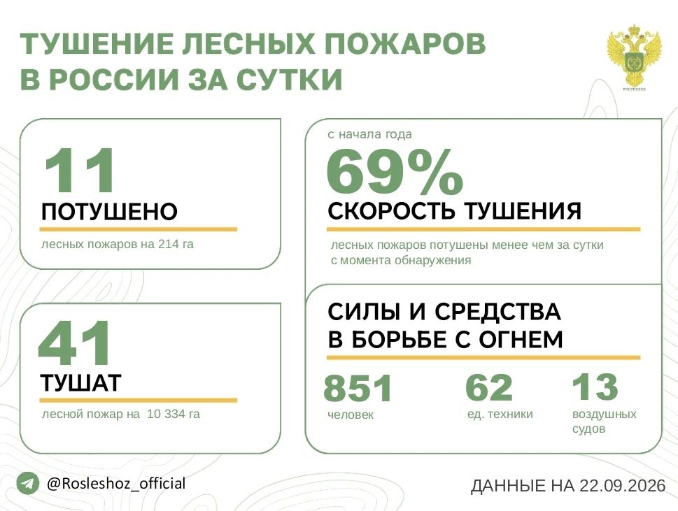 За прошедшие сутки в 8 регионах России потушили 11 лесных пожаров