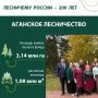Посадить дерево, вырастить лес, оставить наследие