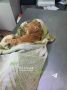 Бродячие собаки разодрали котика на глазах у детей