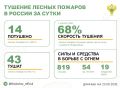 За прошедшие сутки в 9 регионах России потушили 14 лесных пожаров