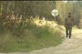 В Нягани ликвидировали медведя, который ходил летом у больницы и парка | АиФ Югра