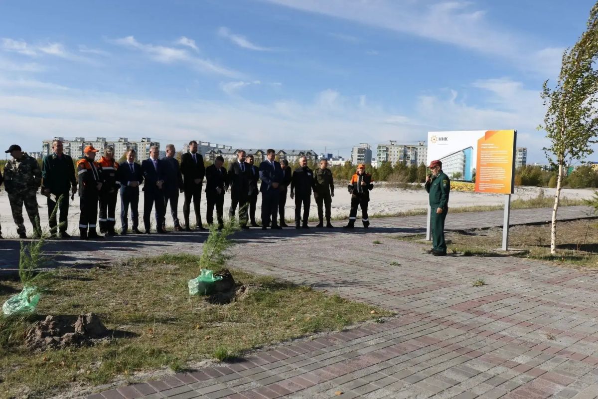 В Радужном обновили лиственничную аллею лесоводов и нефтяников России В Радужном обновили лиственничную аллею лесоводов и нефтяников России