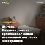 Житель Нижневартовска организовал канал незаконной миграции иностранцев