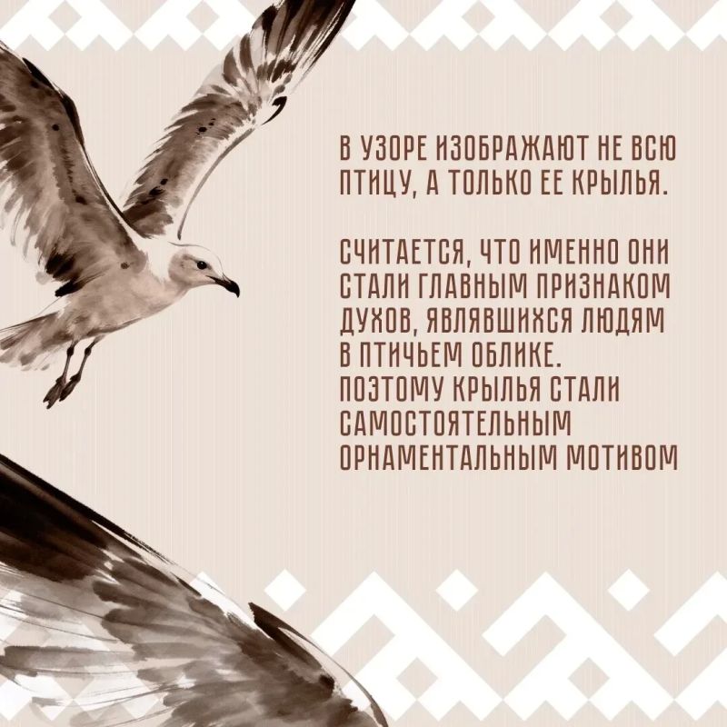 Почему чайка стала одним из символов орнамента народов ханты и манси? Почему чайка стала одним из символов орнамента народов ханты и манси?
