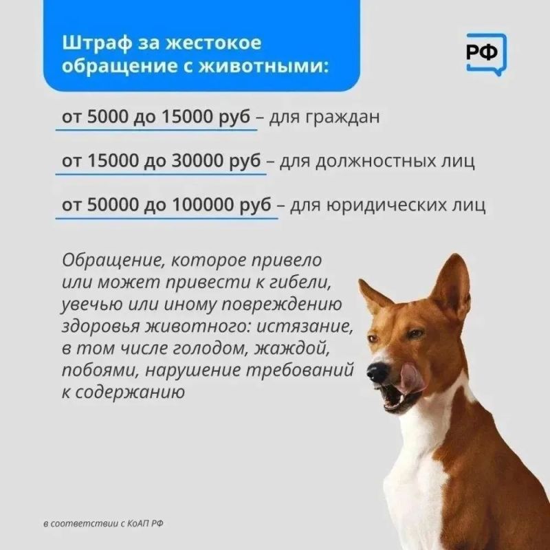 В Нижневартовске продолжается зоозащитная акция «Не бросай меня на даче» В Нижневартовске продолжается зоозащитная акция «Не бросай меня на даче»