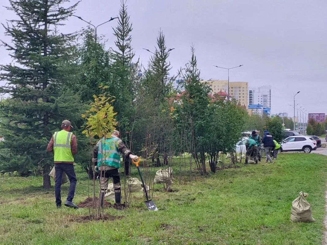 В Нижневартовске продолжается осенняя кампания по озеленению В Нижневартовске продолжается осенняя кампания по озеленению