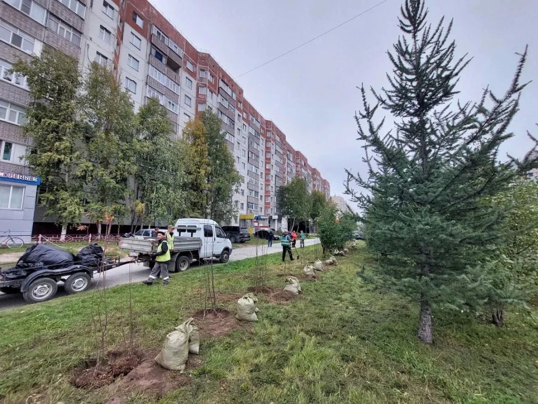 В Нижневартовске продолжается осенняя кампания по озеленению В Нижневартовске продолжается осенняя кампания по озеленению