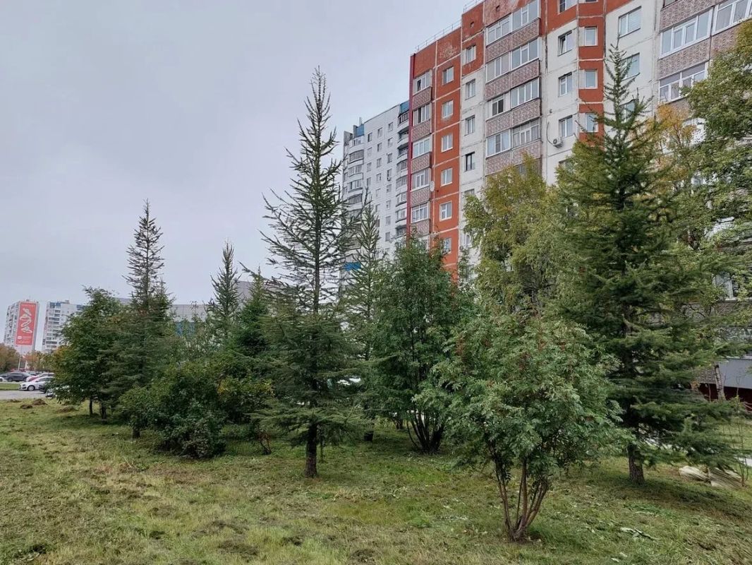 В Нижневартовске продолжается осенняя кампания по озеленению В Нижневартовске продолжается осенняя кампания по озеленению
