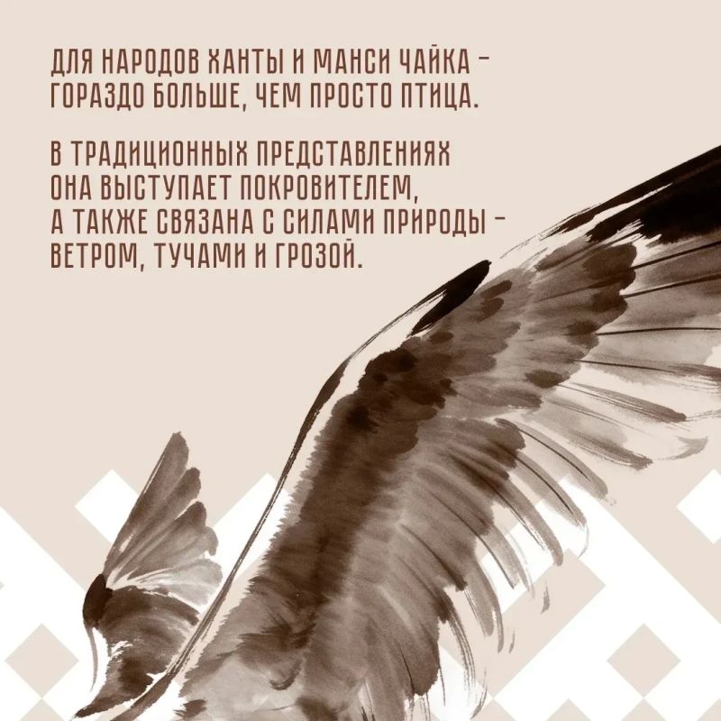 Почему чайка стала одним из символов орнамента народов ханты и манси? Почему чайка стала одним из символов орнамента народов ханты и манси?