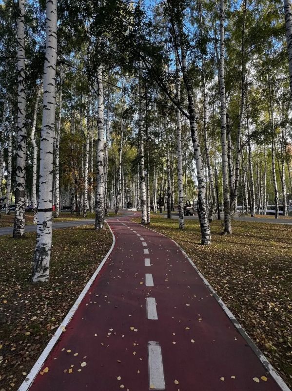 Осень в Югре — это не про сидеть дома! Осень в Югре — это не про сидеть дома!