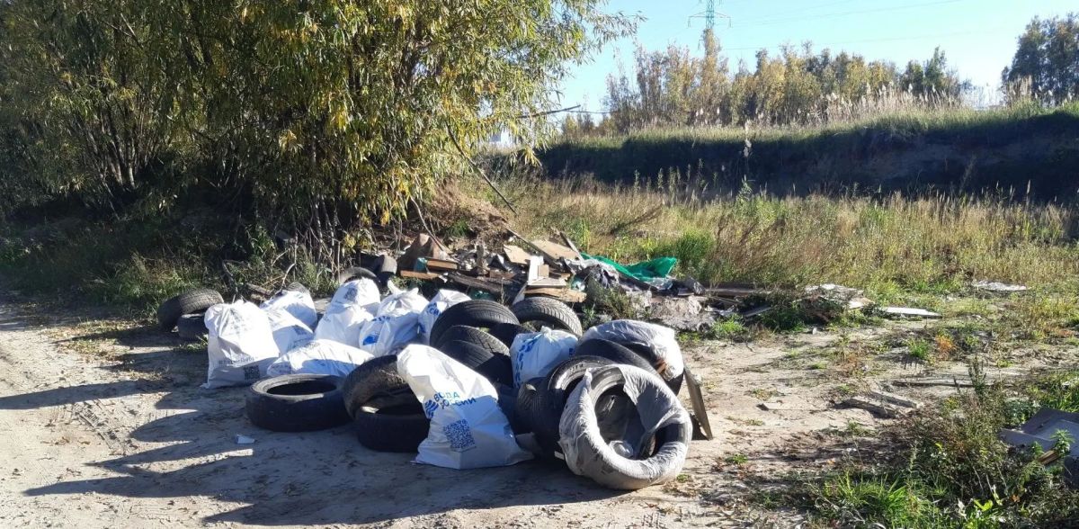 Сургутяне присоединились ко второму этапу Всероссийской акции «Вода России» и городской акции «Чистый берег» Сургутяне присоединились ко второму этапу Всероссийской акции «Вода России» и городской акции «Чистый берег»
