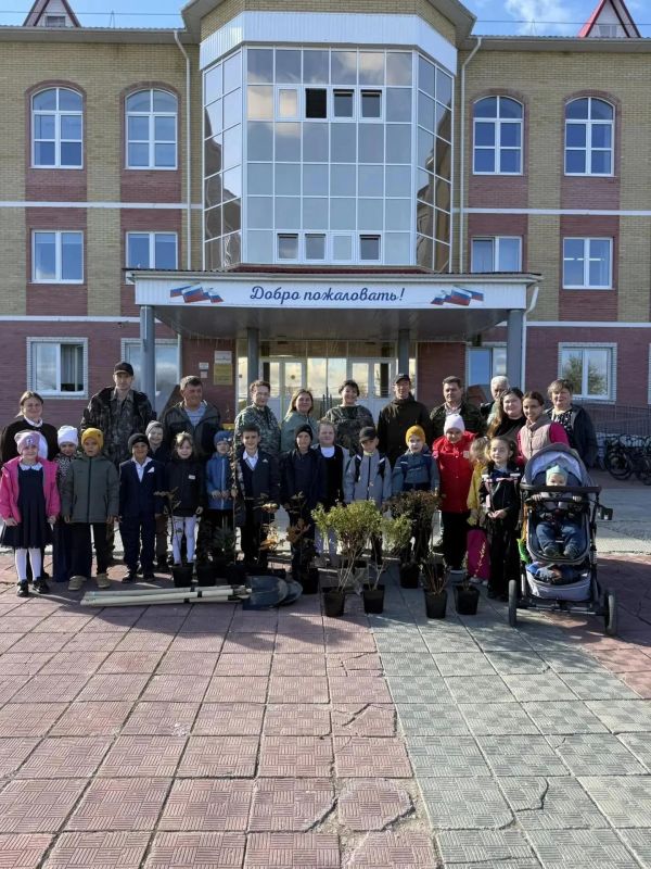 Зеленоборск стал еще зеленее! Зеленоборск стал еще зеленее!