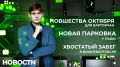 Индексация тарифов на коммунальные услуги, изменения в семейной потеке, рост цен на плацкартные билеты